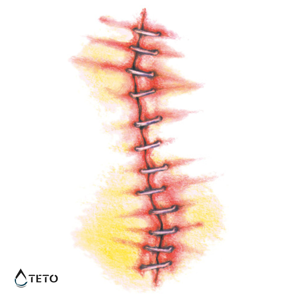 Cuero cosido - Tatuajes Temporales TETO