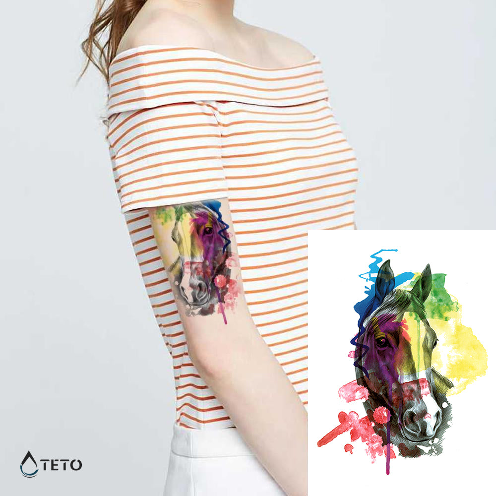Caballo multicolor