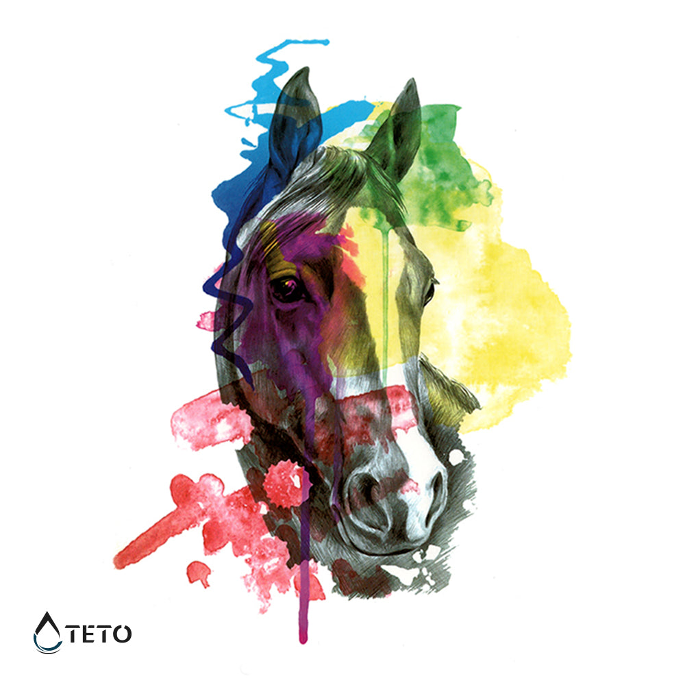 Caballo multicolor