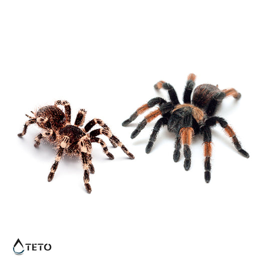 Arañas 3D - set de arañas - TETO - Tatuajes Temporales