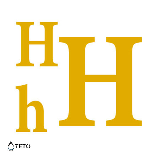 Letra H - set - Tatuajes Temporales TETO