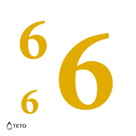 Número 6 o 9 - set - Tatuajes Temporales TETO