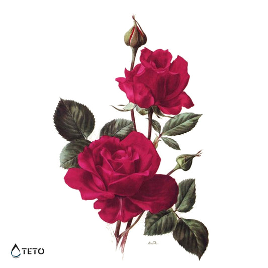 Rosas - Tatuajes Temporales TETO
