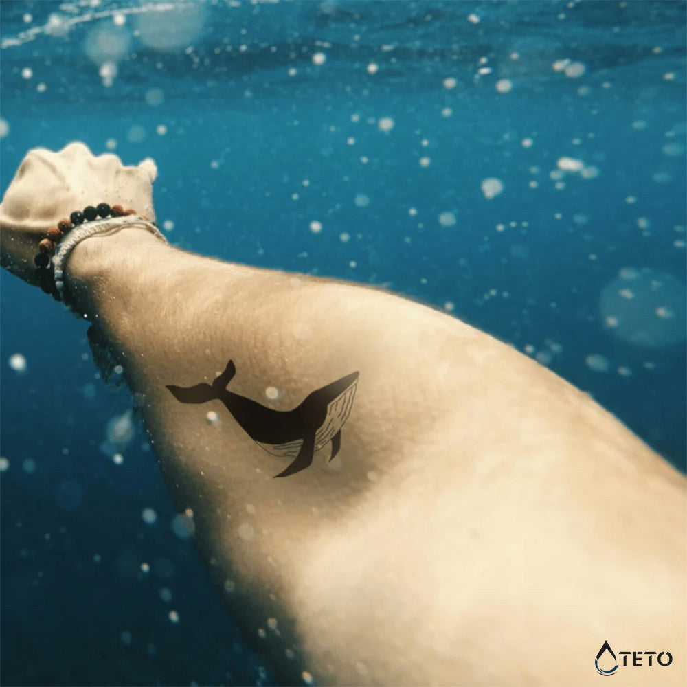 Ballena – Semipermanente